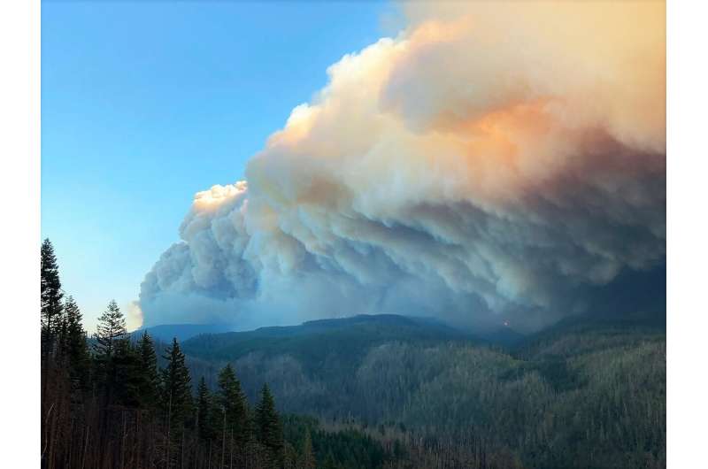 New study offers insight into past—and future—of west-side wildfires