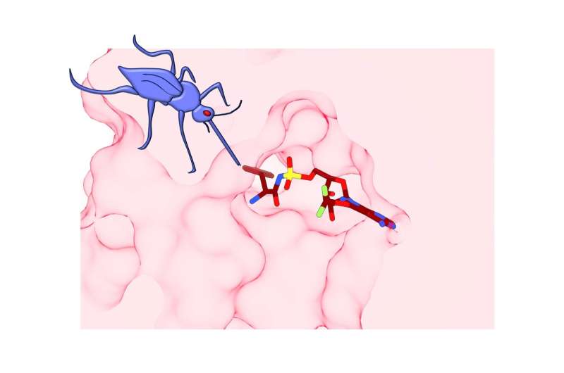 This parasite will self-destruct: researchers discover new weapon against drug-resistant malaria