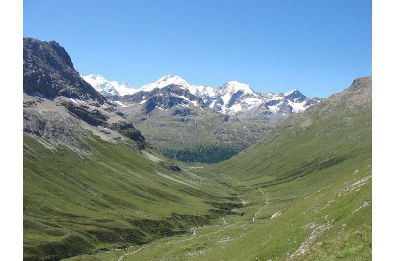 A view of Piz Bernina