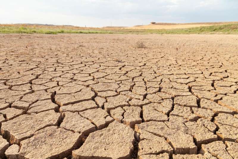 Stretching sands as desertification spreads to Europe