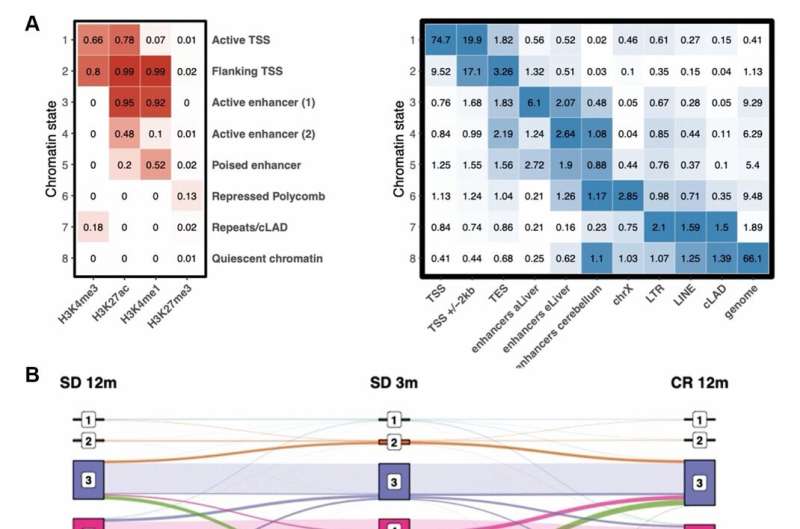 Aging-US | Time makes histone H3 modifications drift in mouse liver