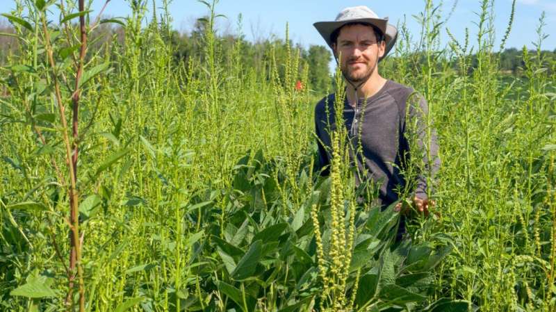 Timing is everything for weed management