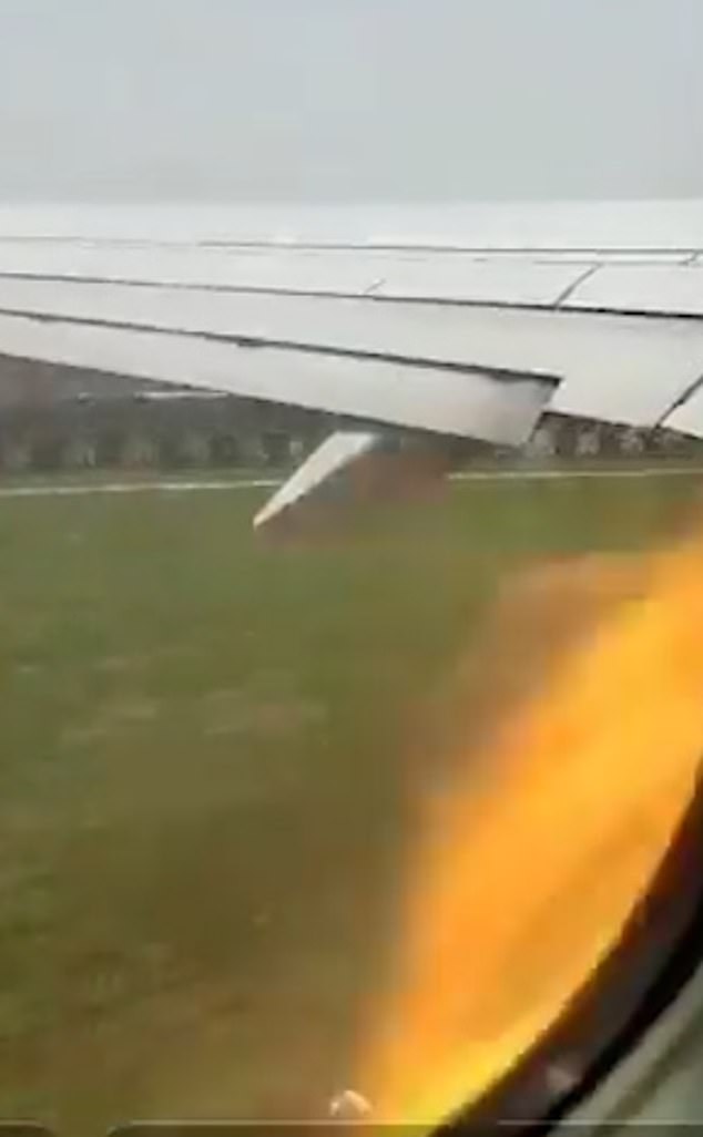 WATCH: Passenger films his SpiceJet Boeing 737 catch fire after birds are sucked into its engine