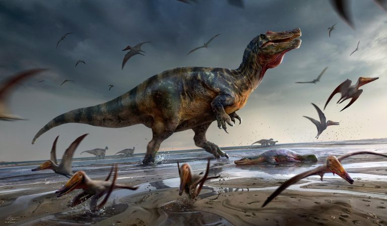 Remains of Europe’s Largest Land Predator Discovered on the Isle of Wight