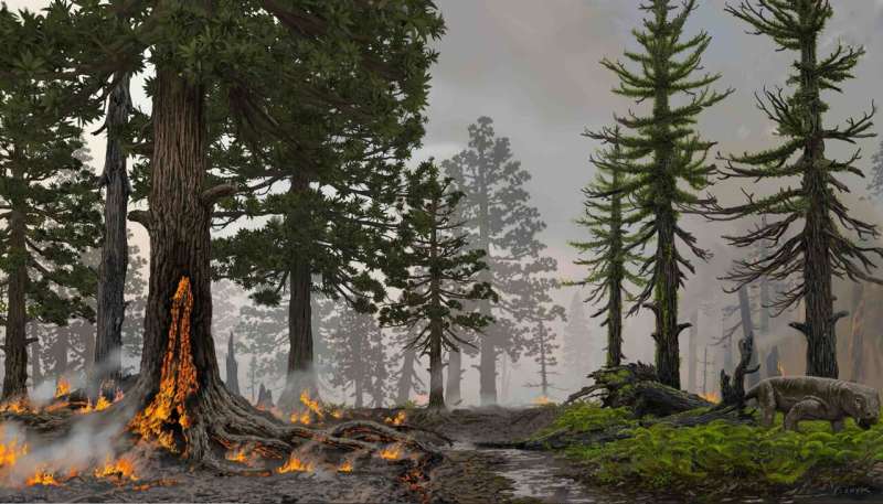 Wildfires may have sparked ecosystem collapse during Earth's worst mass extinction