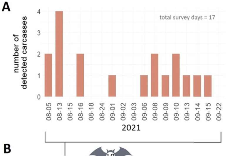 Wind turbines operating without curtailment kill protected bat species in Germany