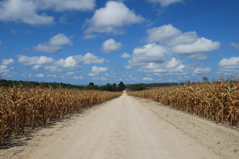 Amazon landscape change study highlights ecological harms and opportunities for action