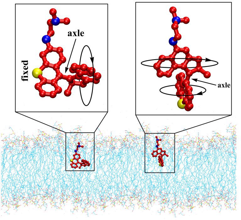 Visible light triggers molecular machines to treat infections