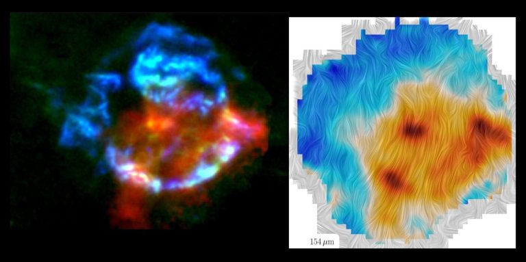 Cosmic ‘dust’ from supernovae hints at how stars are born