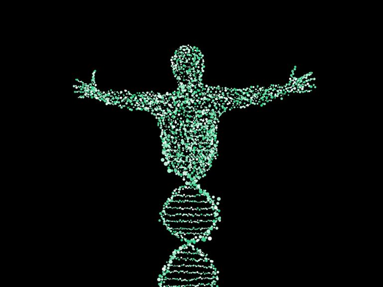 DNA nanotech safe for medical use, new study suggests