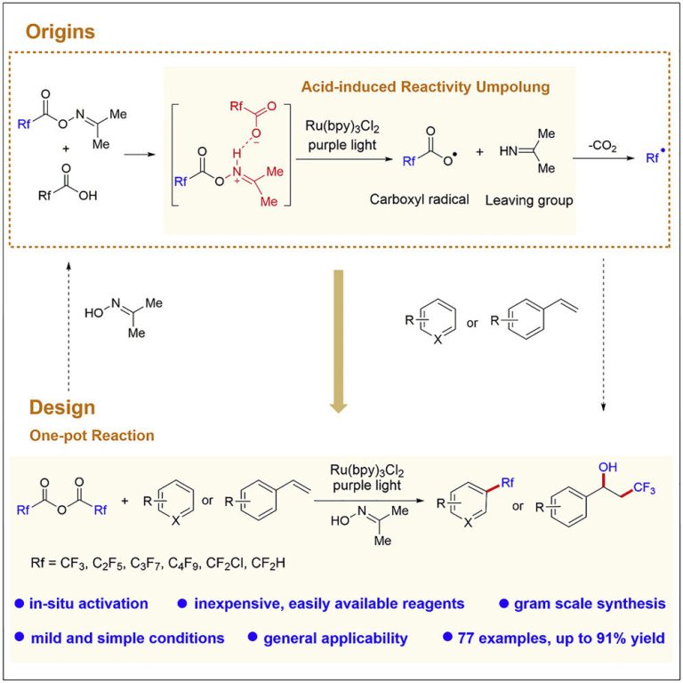 Efficient method for photocatalytic fluoroalkylations of (hetero)arenes