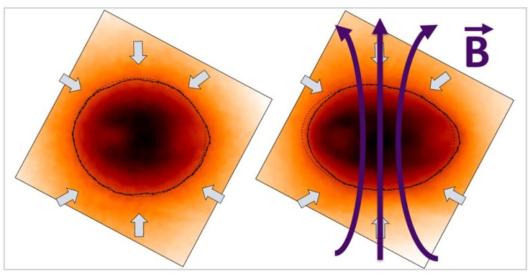 Magnetizing laser-driven inertial fusion implosions