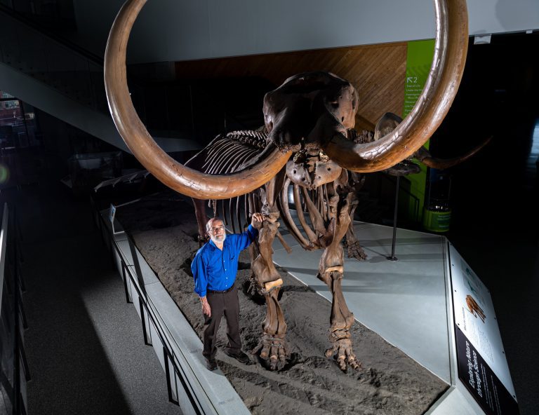 Mastodon tusk chemical analysis reveals first evidence of one extinct animal’s annual migration