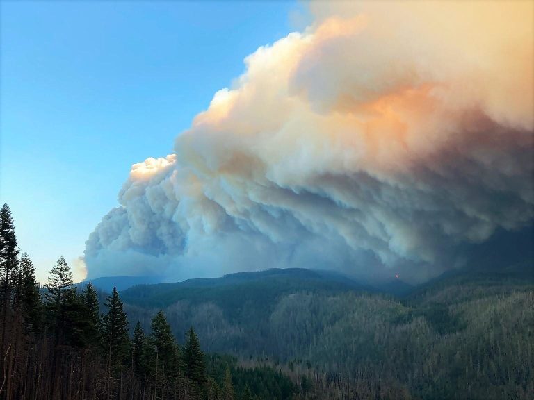 New study offers insight into past—and future—of west-side wildfires