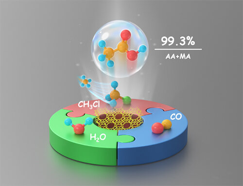 Direct transformation of CH3Cl to acetic acid through a carbonylation reaction