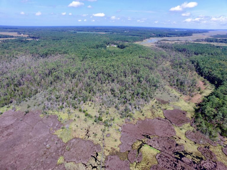 Rural areas will bear the brunt of US sea-level rise