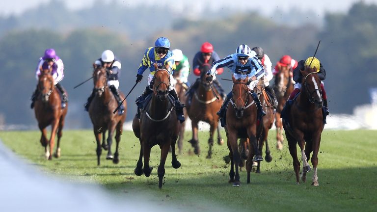 Today on Sky Sports Racing: Trueshan and Hollie Doyle bid to defy mammoth weight in Northumberland Plate | Racing News