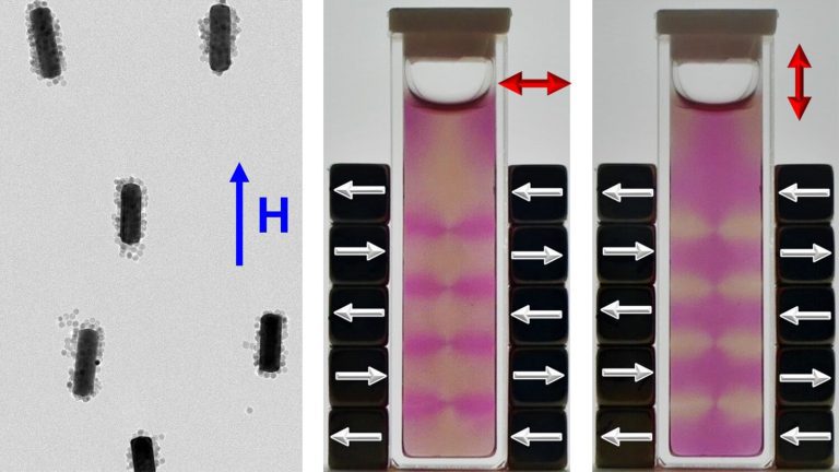 Technique allows researchers to align gold nanorods using magnetic fields