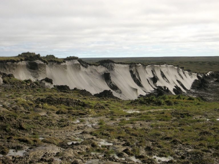 Thawing permafrost is shaping the global climate