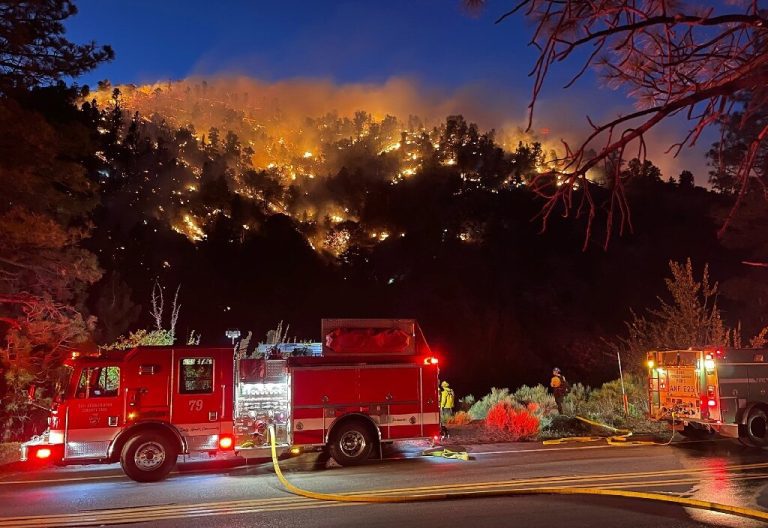 Wildfire tears through California forest as temperatures rocket