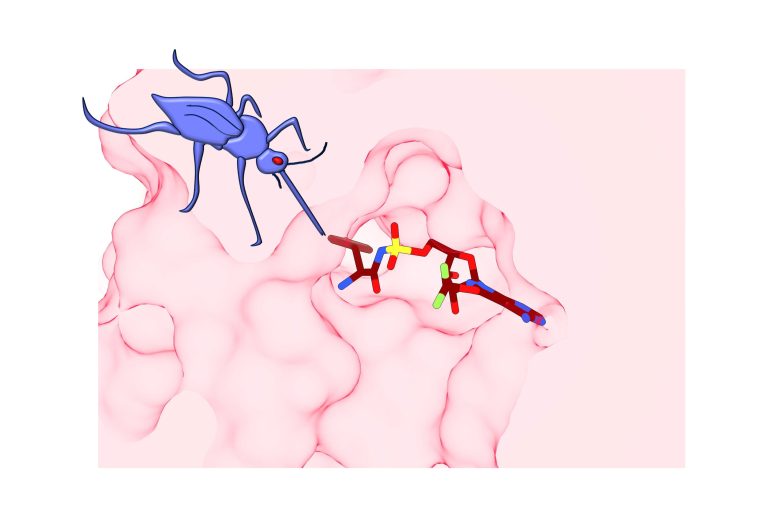 Researchers discover new weapon against drug-resistant malaria