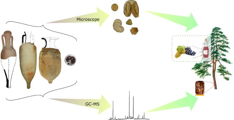 Underwater jars reveal Roman period winemaking practices