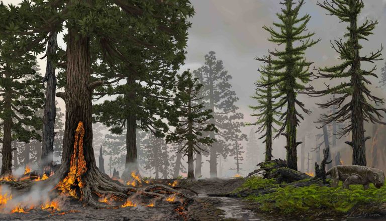 Wildfires may have sparked ecosystem collapse during Earth’s worst mass extinction