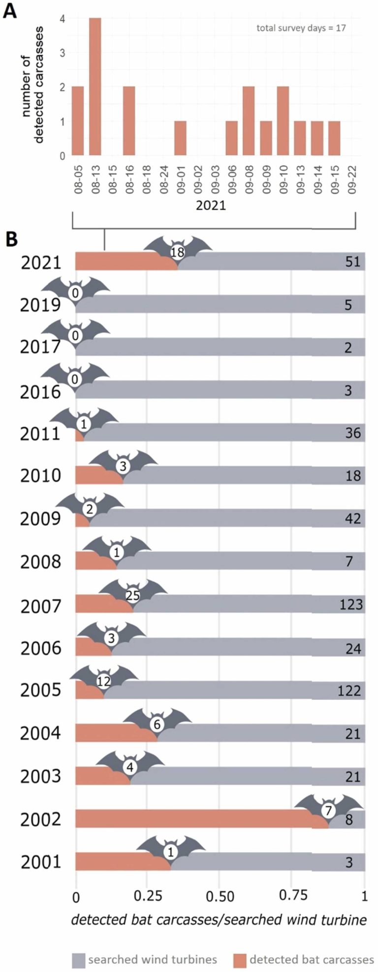 Wind turbines operating without curtailment kill protected bat species in Germany