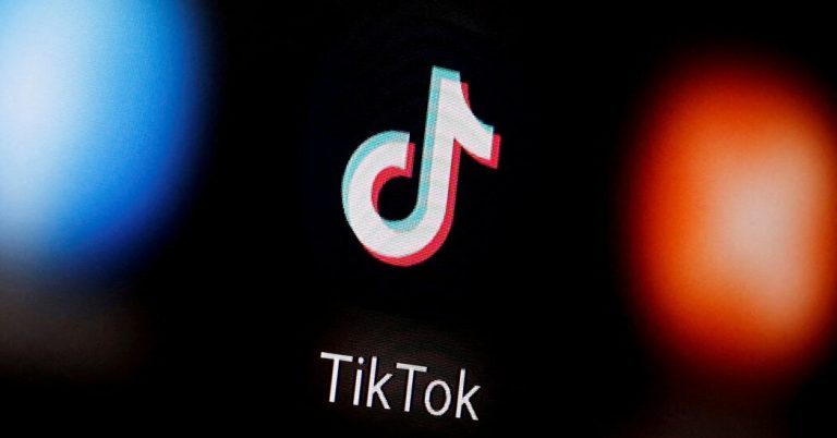 Lawmakers Ask F.T.C. Chair to Investigate TikTok’s Data Practices