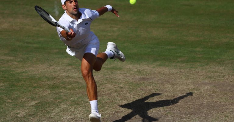 Built to Be Flexible, Novak Djokovic Bounces Back