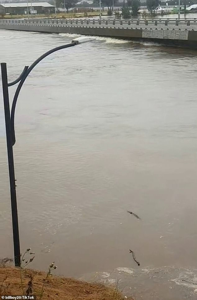 Flood waters have almost risen above Windsor Bridge with the heavy rain set to continue until at least Tuesday