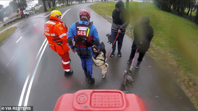 Rescue crews rescued several dogs and their owners from a flooded area in Lansvale