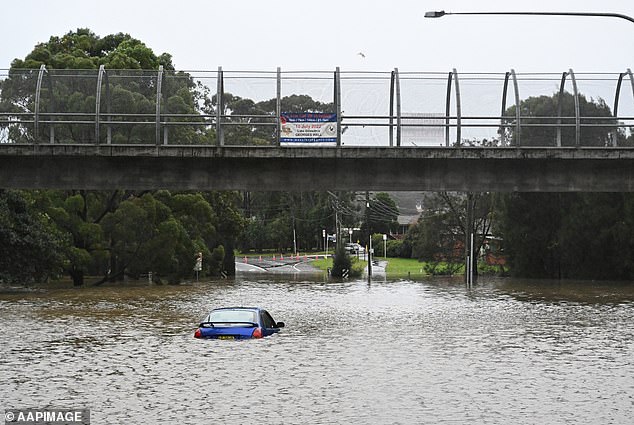 Daily rainfall in some areas has exceeded their averages for July (pictured, floods in Camden)