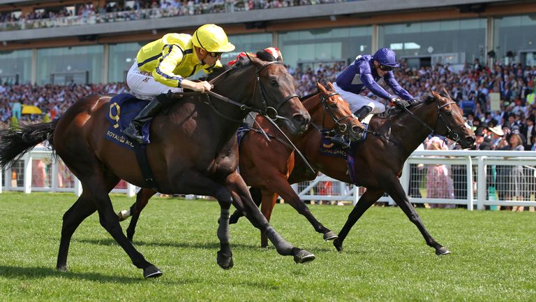 Flaming Rib (far side) was second to Perfect Power at Ascot