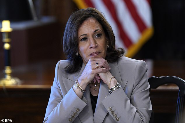 President Biden's intentions for 2024 have remained continually unclear, and talk has been circulating about Vice President Kamala Harris making a run