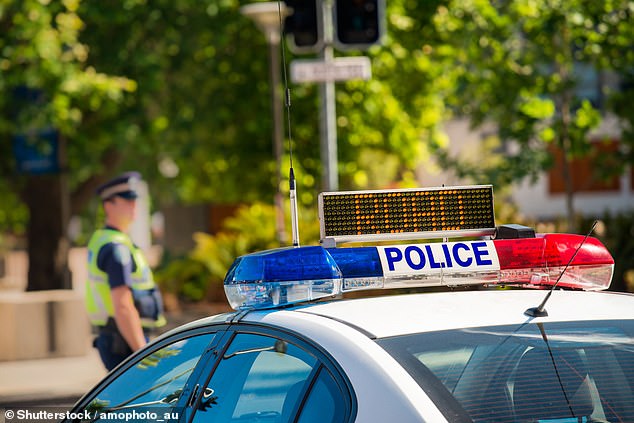 South Australia's police union have called for the state's systems to be overhauled as officer numbers dwindle and crime rates rise