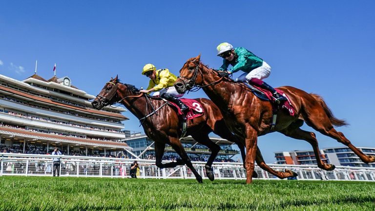 Scope (near side) and Ilaraab battle it out in front of the Newbury grandstand