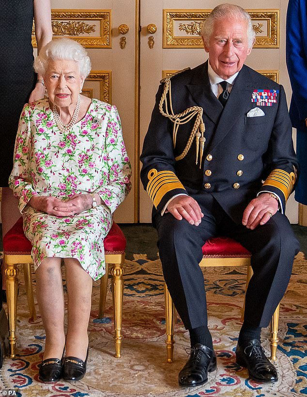 The Queen and heir to the throne Prince Charles, dressed in full military uniform, welcomed a small number of healthcare professionals to the ornate confines of Windsor Castle