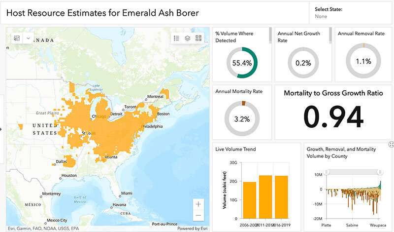 Purdue, U.S. Forest Service launch new, improved Alien Forest Pest Explorer