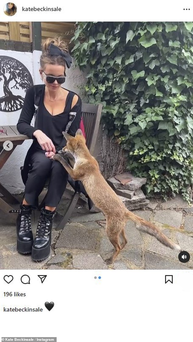 Kate and fox: She also shared another video of her sitting at a table, feeding the baby fox a number of snacks, as the small animal puts his front two paws on her legs to reach up for the food