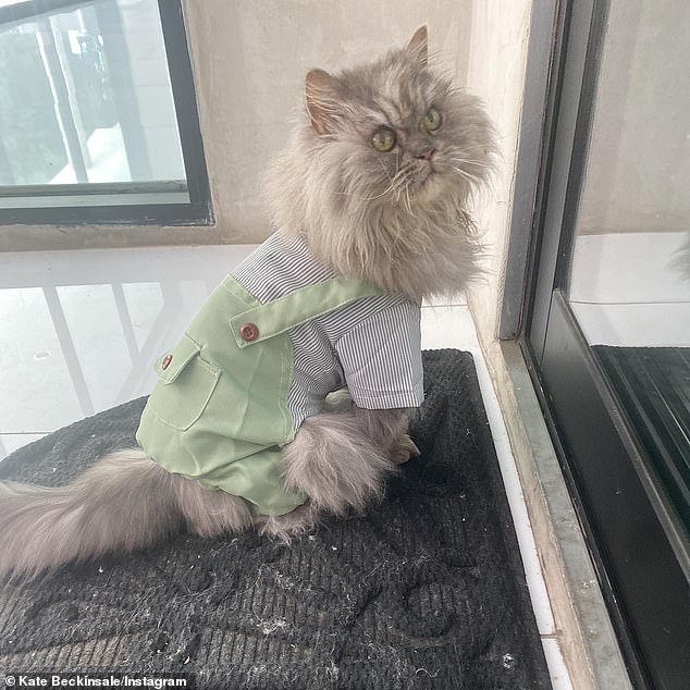 Dungarees: 'I’m so jealous I’ve had to break out Clive’s summer dungarees,' she added, sharing a photo of her cat Clive in a special outfit