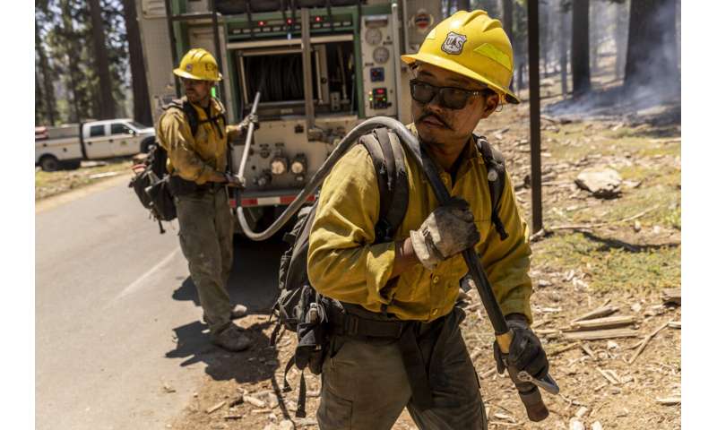 Preventative fires credited with saving Yosemite sequoias