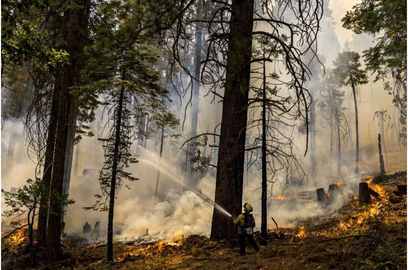 Preventative fires credited with saving Yosemite sequoias