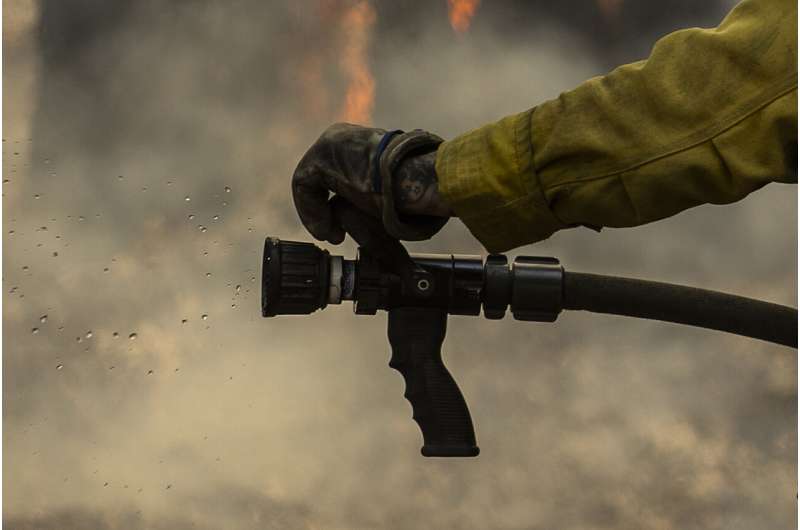 Preventative fires credited with saving Yosemite sequoias