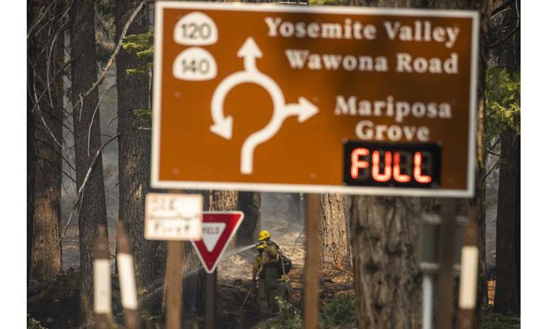 Preventative fires credited with saving Yosemite sequoias