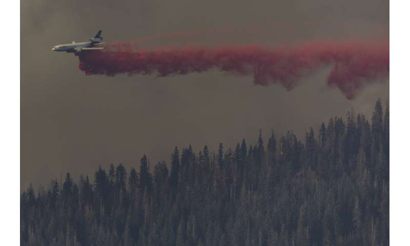 Preventative fires credited with saving Yosemite sequoias