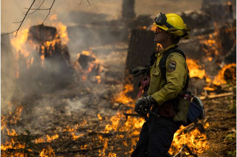 Preventative fires credited with saving Yosemite sequoias