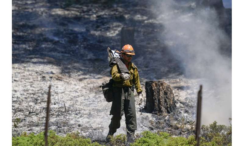 Preventative fires credited with saving Yosemite sequoias