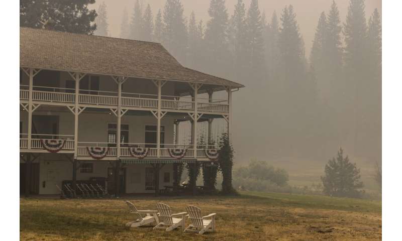 Preventative fires credited with saving Yosemite sequoias