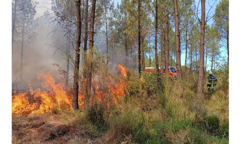 Spate of wildfires scorches parts of Europe amid heat wave